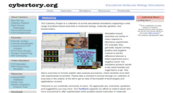 Desktop Screenshot of cybertory.org